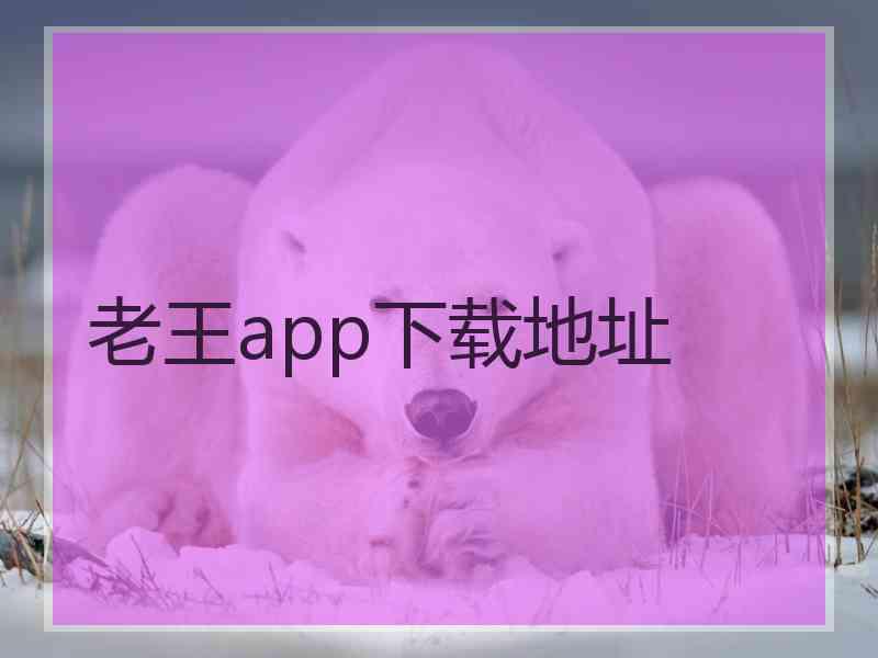 老王app下载地址