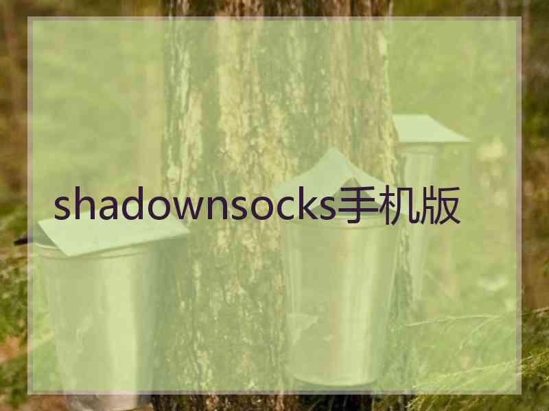 shadownsocks手机版