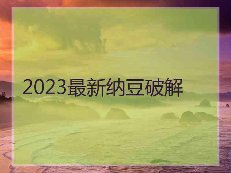 2023最新纳豆破解