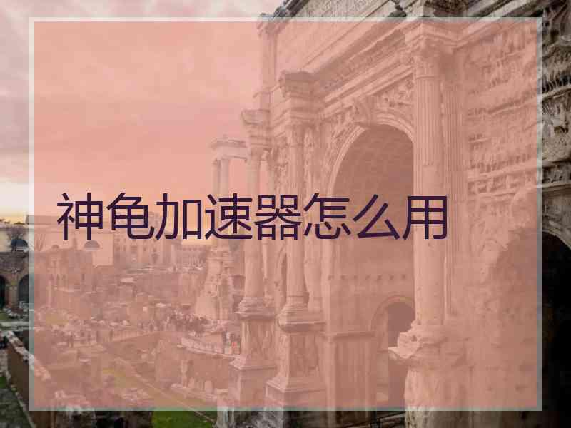 神龟加速器怎么用