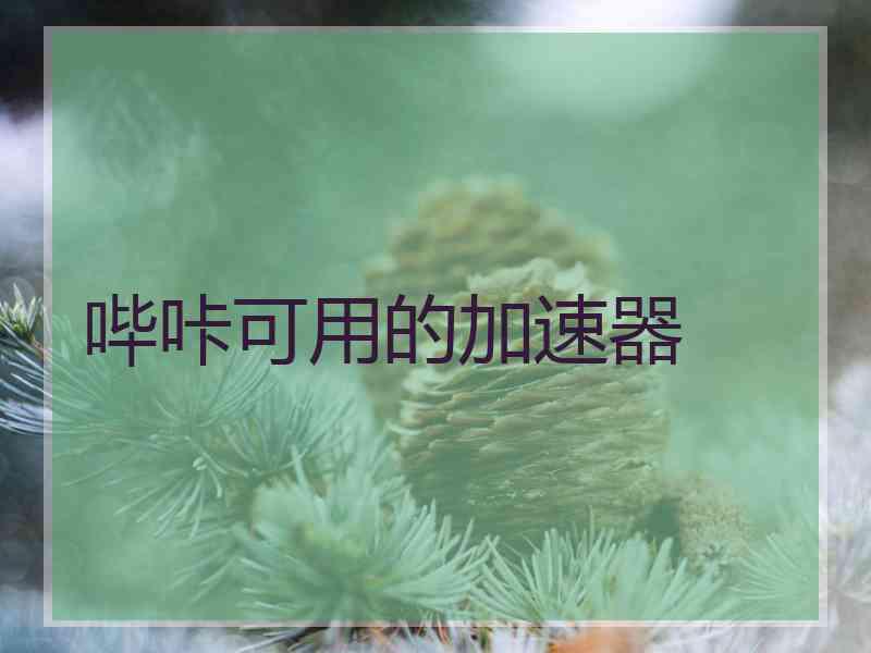 哔咔可用的加速器