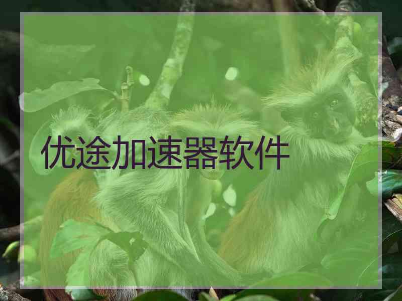 优途加速器软件