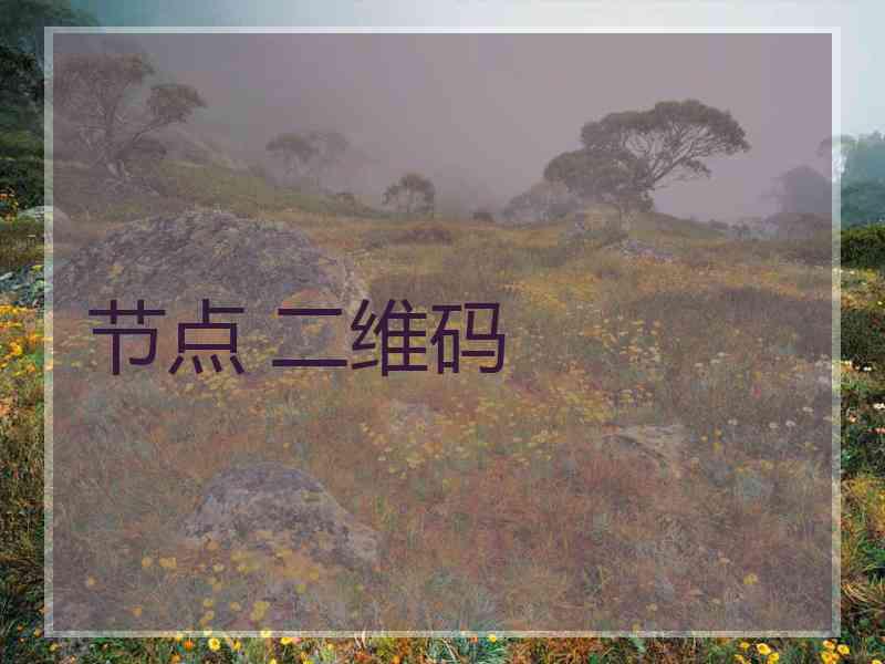 节点 二维码