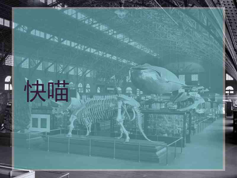 快喵