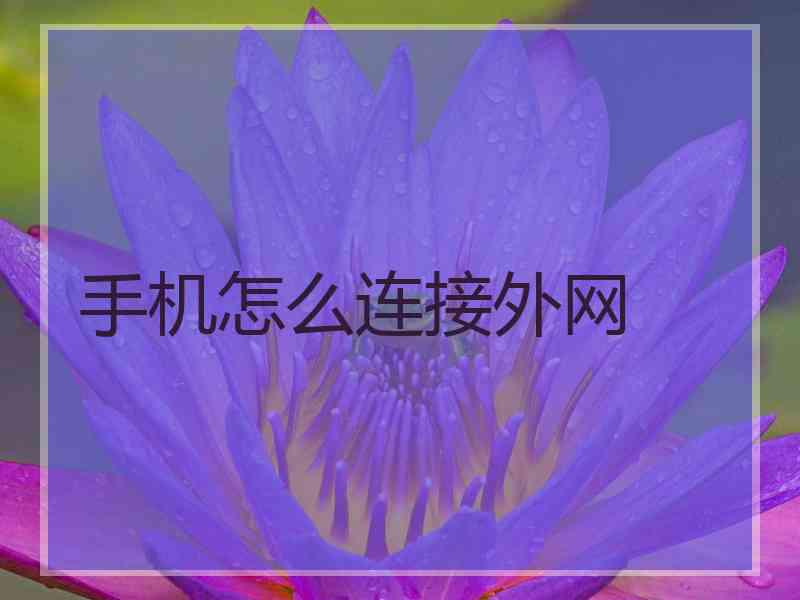 手机怎么连接外网