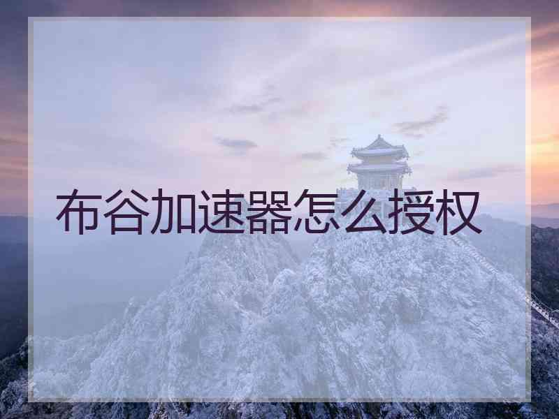 布谷加速器怎么授权