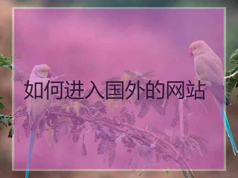 如何进入国外的网站