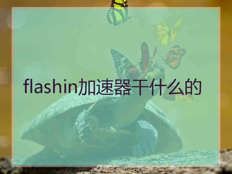 flashin加速器干什么的