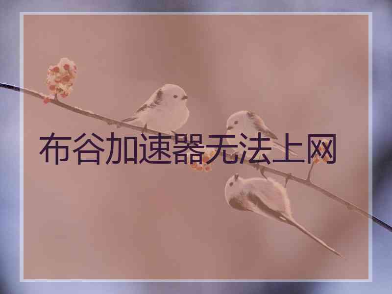 布谷加速器无法上网