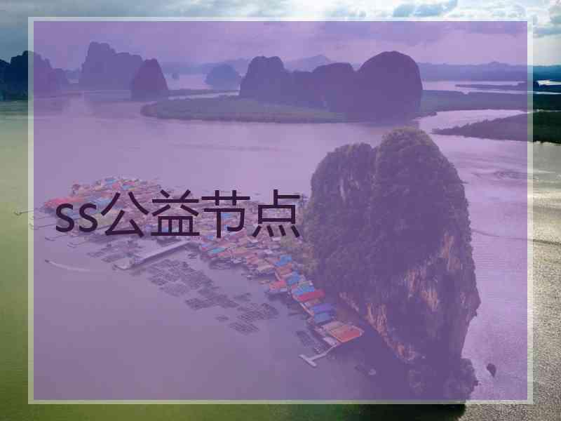 ss公益节点