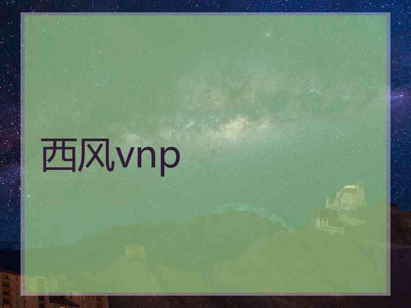 西风vnp