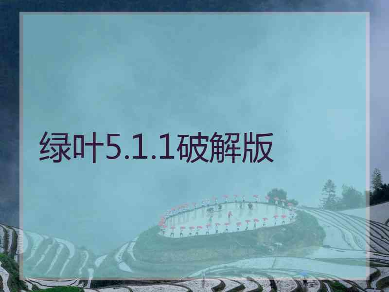 绿叶5.1.1破解版