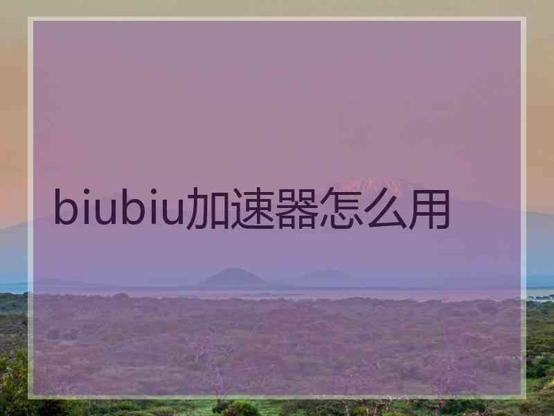 biubiu加速器怎么用