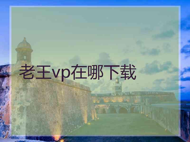 老王vp在哪下载