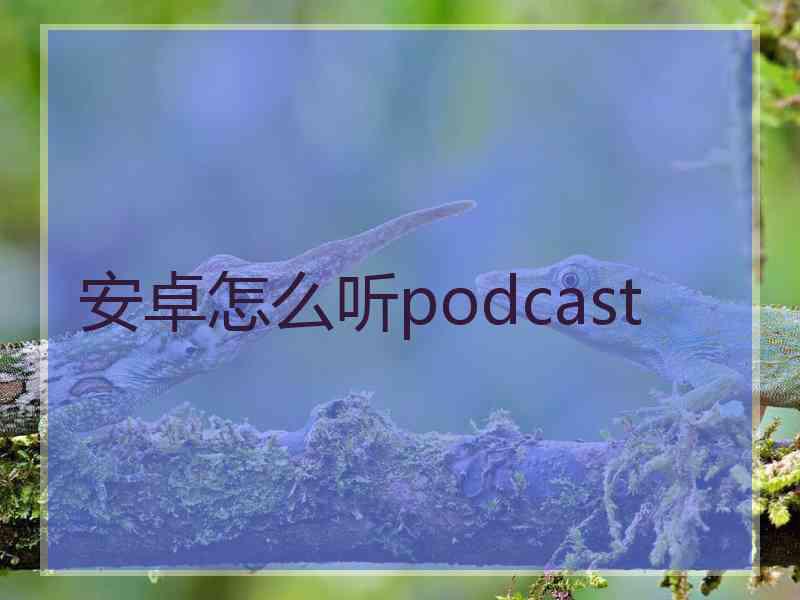 安卓怎么听podcast