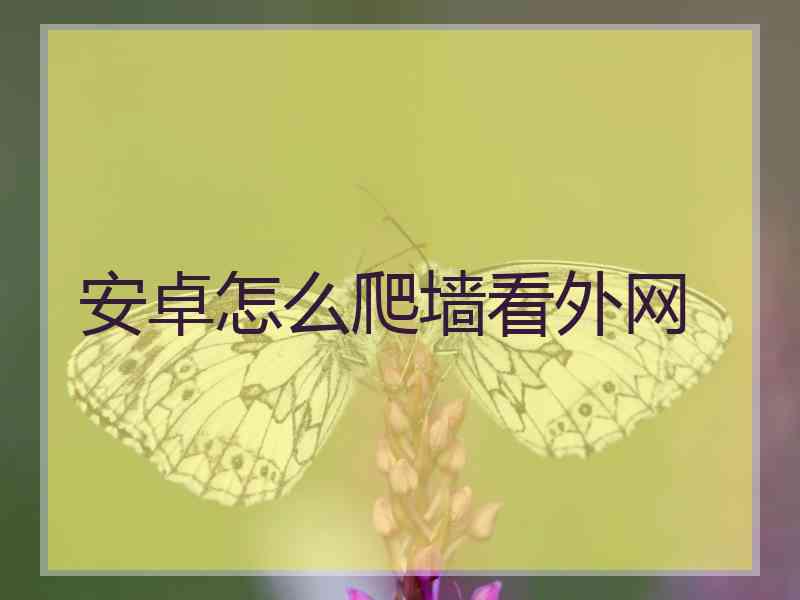 安卓怎么爬墙看外网