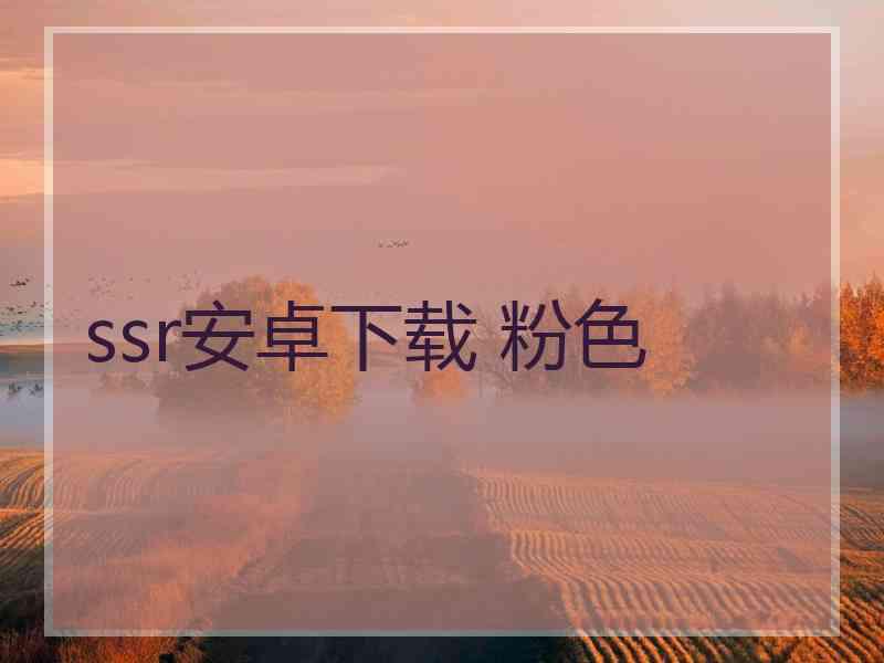 ssr安卓下载 粉色