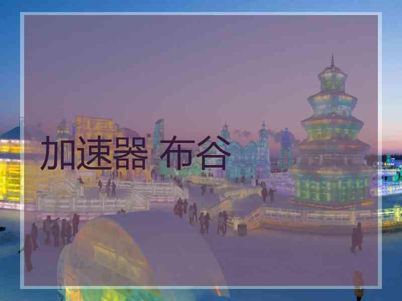 加速器 布谷