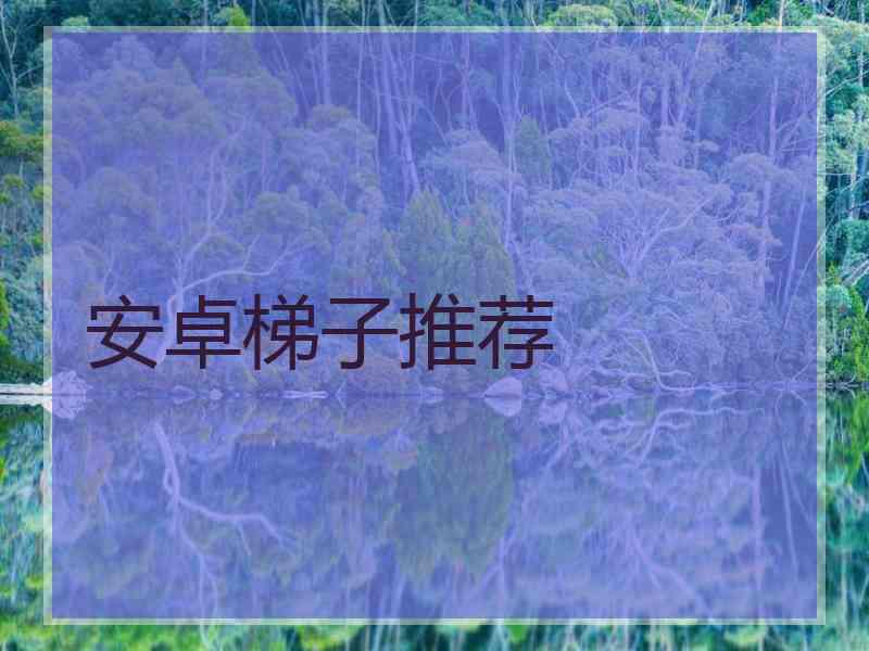 安卓梯子推荐