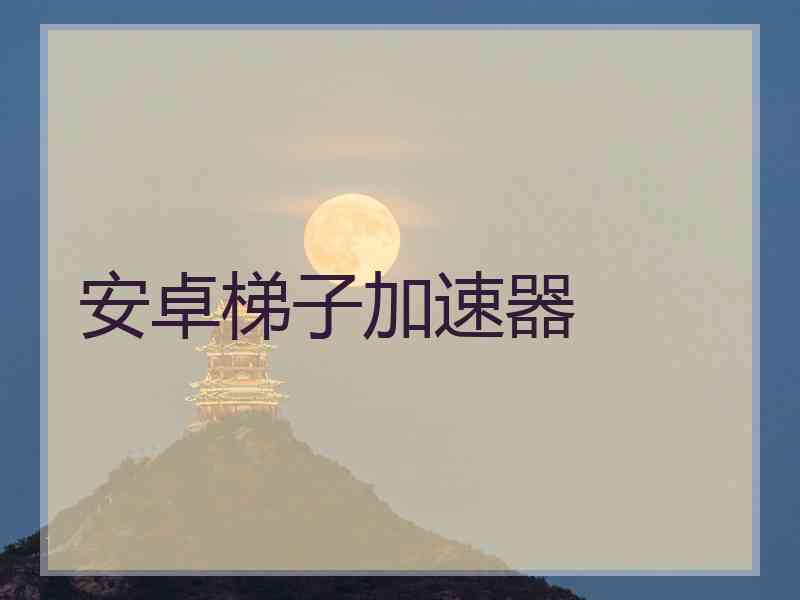 安卓梯子加速器