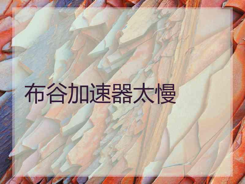 布谷加速器太慢