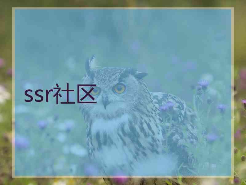ssr社区
