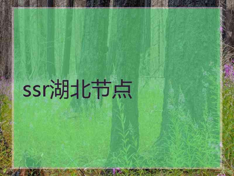 ssr湖北节点