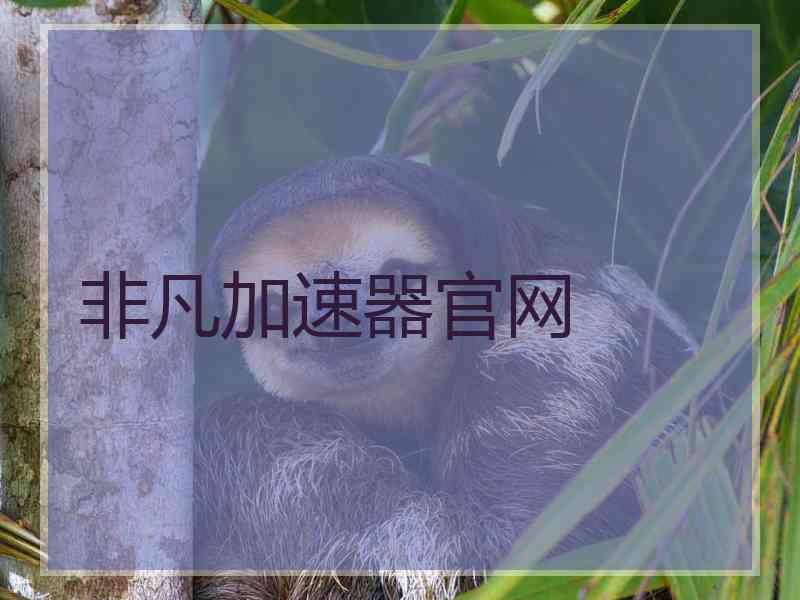 非凡加速器官网