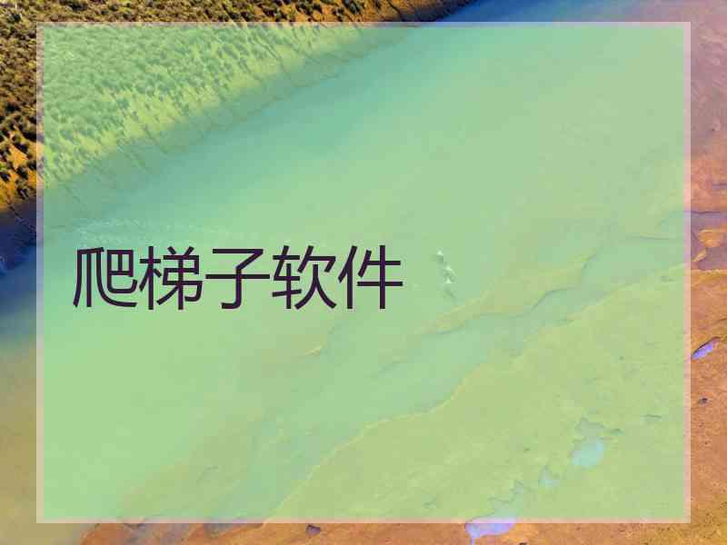 爬梯子软件