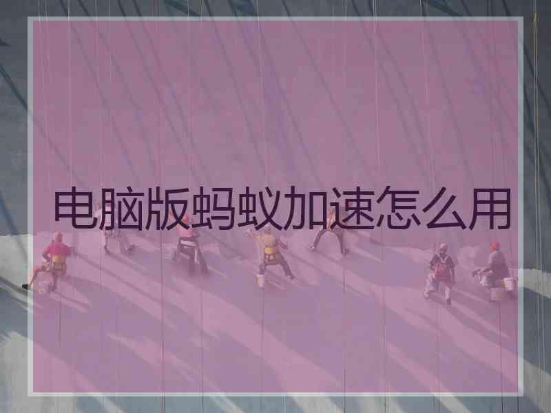 电脑版蚂蚁加速怎么用
