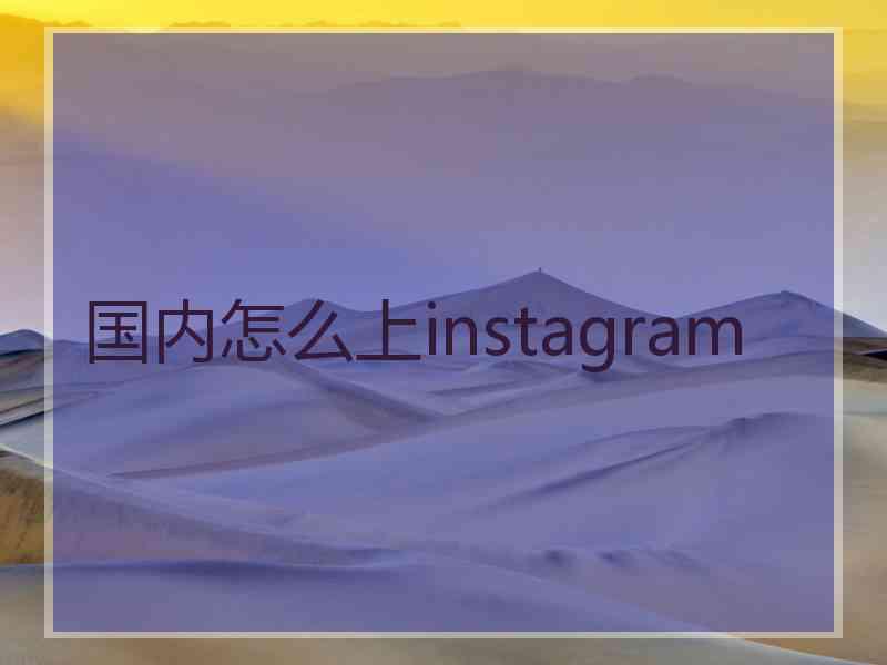 国内怎么上instagram
