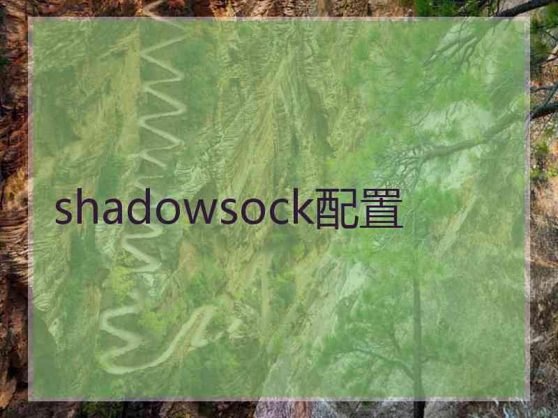 shadowsock配置
