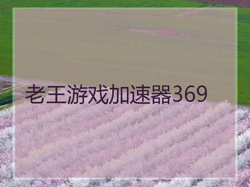 老王游戏加速器369