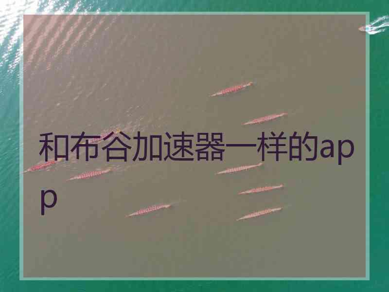 和布谷加速器一样的app