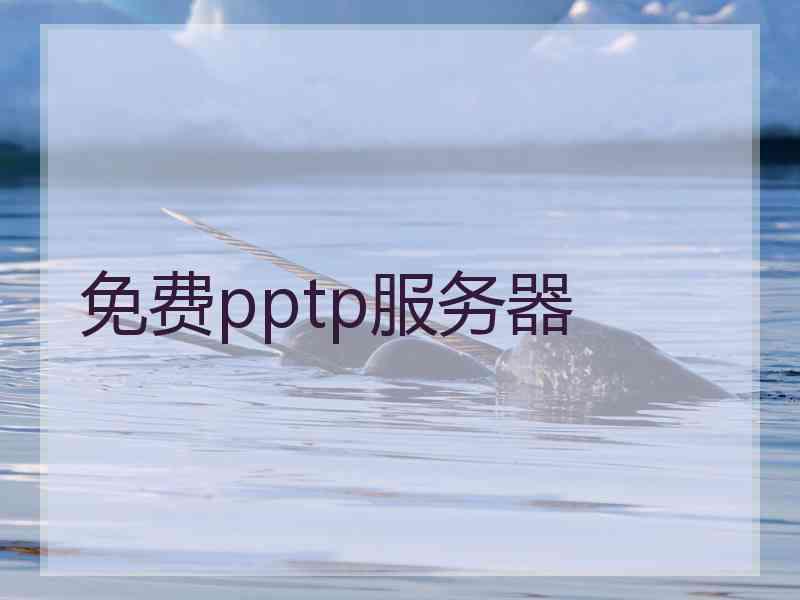 免费pptp服务器