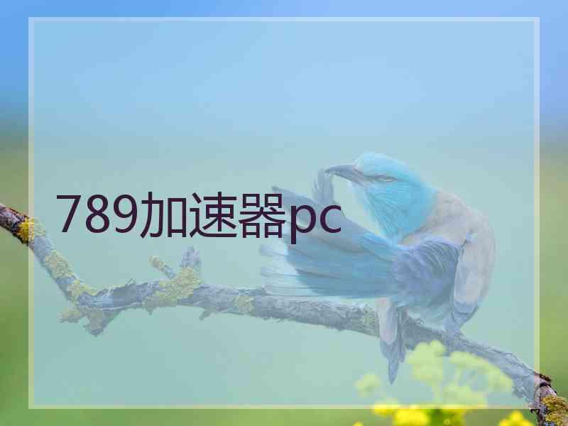 789加速器pc