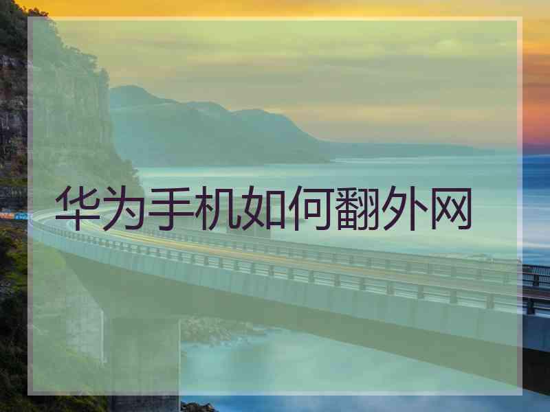 华为手机如何翻外网