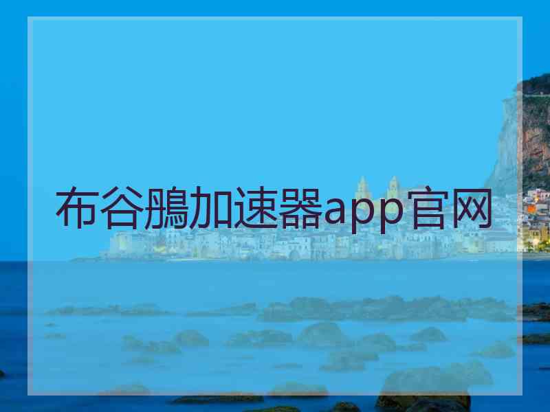 布谷鴅加速器app官网