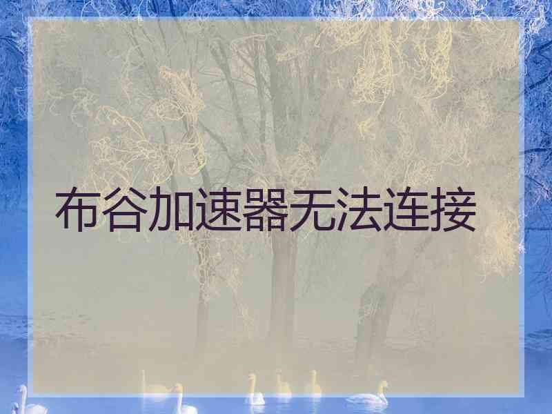 布谷加速器无法连接