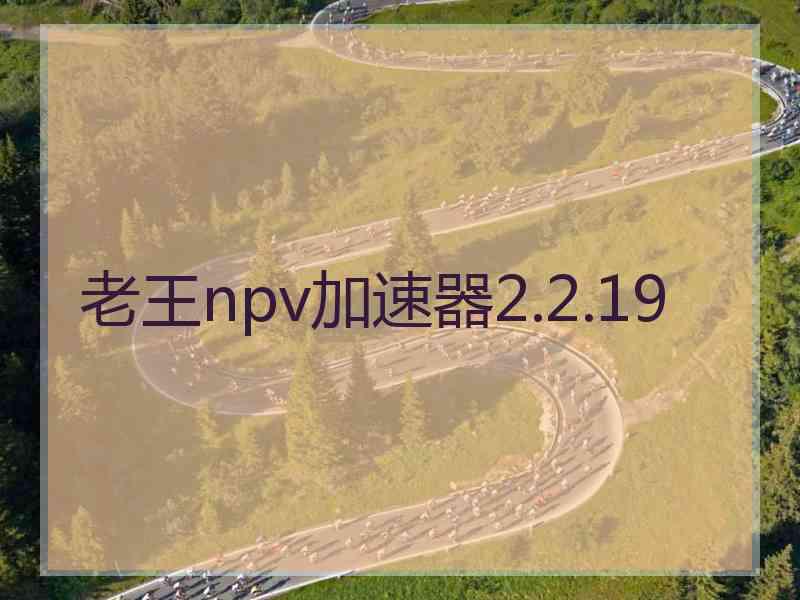 老王npv加速器2.2.19