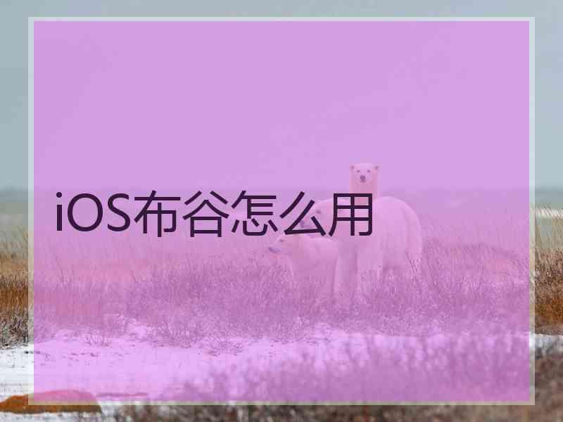 iOS布谷怎么用