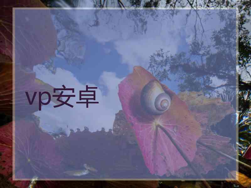 vp安卓