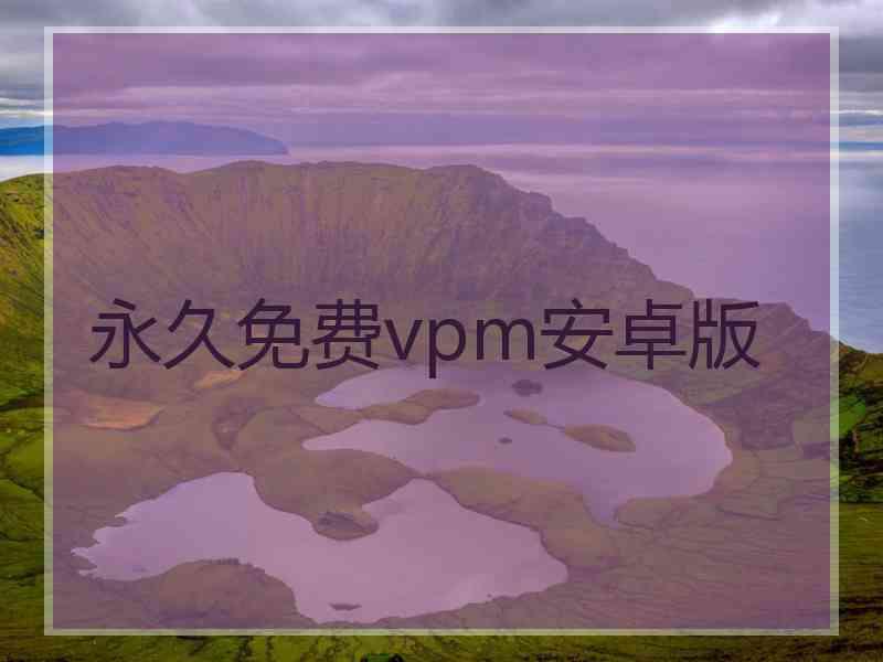 永久免费vpm安卓版