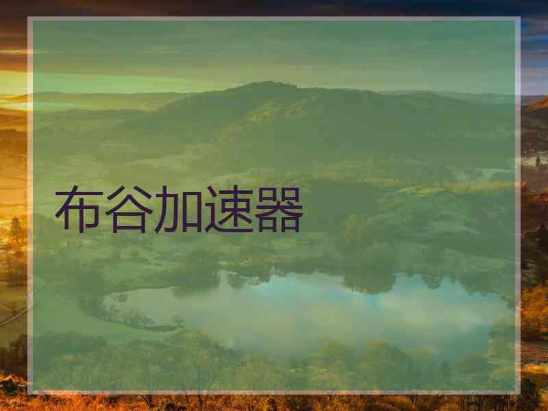 布谷加速器
