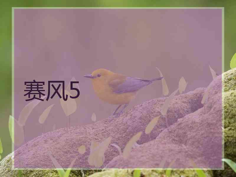 赛风5