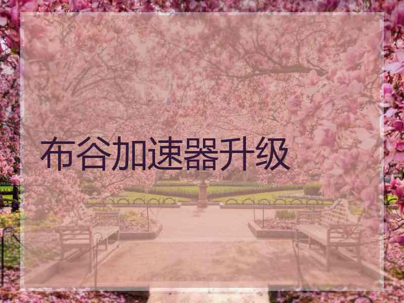 布谷加速器升级