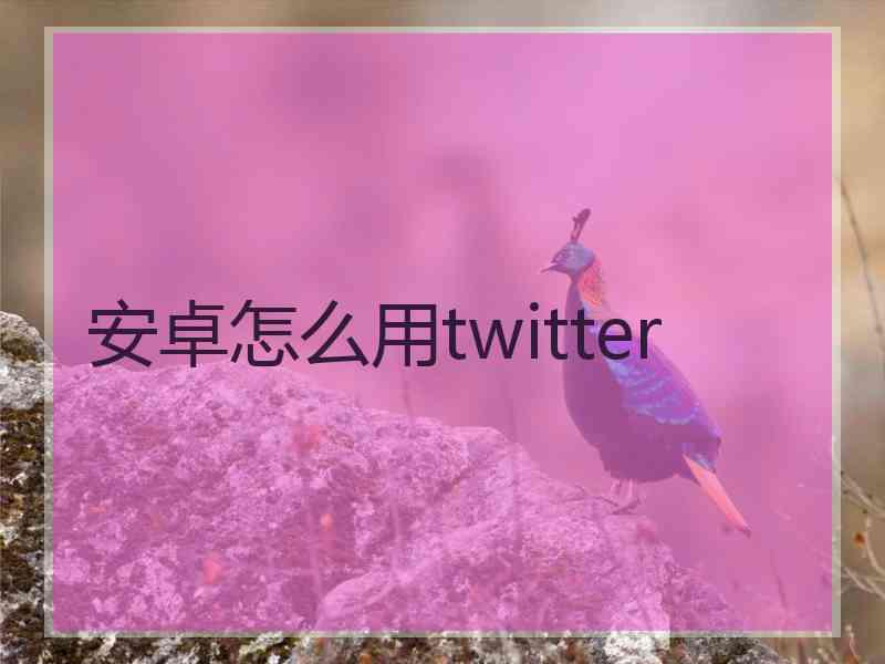 安卓怎么用twitter
