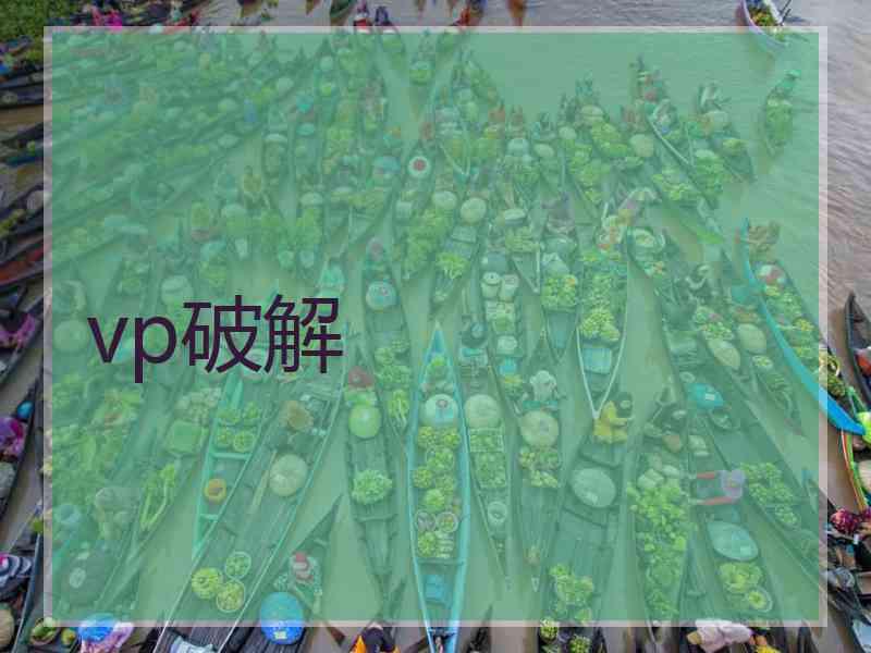 vp破解