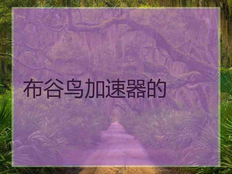 布谷鸟加速器的