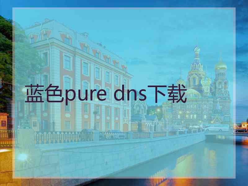 蓝色pure dns下载